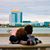 Chelsey Young-Wallace's profile image