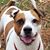 Laura Tiaga's profile image