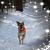 Leslie Eaton Baker's profile image
