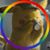 Shawn Atkins's profile image