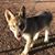 Margie Goodrich's profile image
