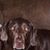Theresa Stillman's profile image