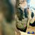 Makayla Scearce's profile image