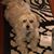 Kelly Lou Martin-Womble's profile image