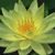 Swetha Mereddy's profile image