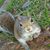Shawn Wiesner's profile image