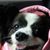 Elaine Rose's profile image