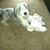 Judy Olsen Madsen's profile image