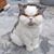 Bobby Prim's profile image