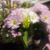 LaKisha Hobbs's profile image