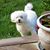 Rhonda Patterson's profile image