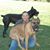 Jennifer Pate's profile image