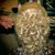 A Bit of Europe Hair Design's profile image
