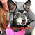 Amanda Swenson's profile image