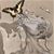 Martina Livingston's profile image