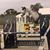 Kim Beattie's profile image