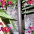 Susan Duffy-Marianni's profile image