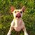 Kelly Szymanski's profile image