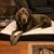 Kimberly Taylor Sharp's profile image