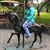 Adele Rihard's profile image