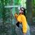 Federica Ronca's profile image