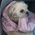 Rachel Palmer-McCullough's profile image