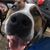 Tricia Michelson's profile image