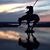 Rick White's profile image