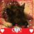 Sandy Hawkins's profile image
