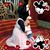 Angela Haire's profile image