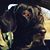 Scott Garvin's profile image