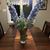 Anneke Urquhart's profile image