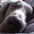 John Bloomer's profile image