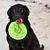 Carmen Yeiter's profile image
