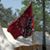 Hubert Miles Stuckey III's profile image