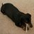 Marvin Ellington's profile image