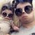 Troy Hauser's profile image