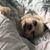 Mary Devenney's profile image