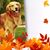Bonnie Hawley Guirastante's profile image