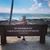 Lisa Shelton Fowler's profile image