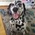 Sheri Padula's profile image
