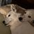 Sandra Kay Stroud Fink's profile image