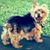Andrea Braa Kowitz's profile image