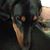 Lesley Cope Watkins's profile image