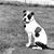 Ryan Kindred's profile image