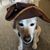 Karl Wallock's profile image