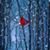 Marj Jelinsky's profile image