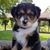 JoAnn Gill-Pierce's profile image