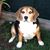 Donald Drayer's profile image