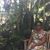 Shirley A. Richardson's profile image